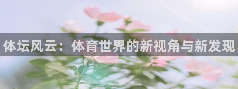球客岛