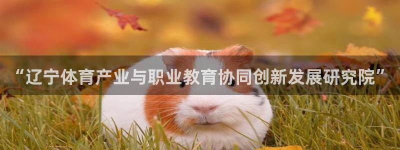 球客岛