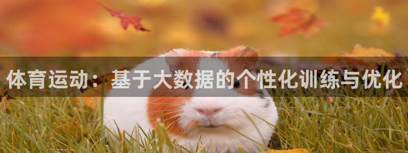 球客岛