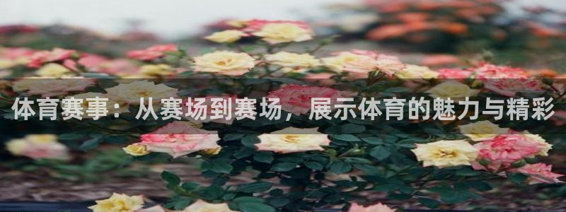 球客岛