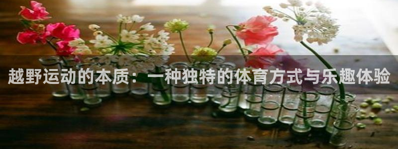 球客岛