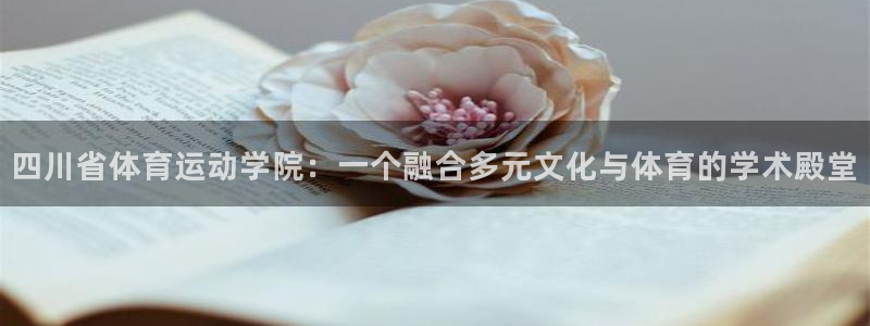 球客岛