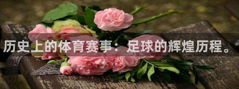 球客岛